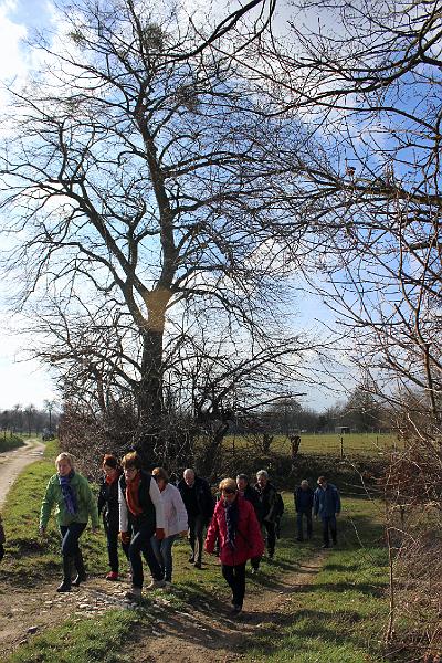 Winterwandeling op 2-3-2014 org. Armand en Judith Menten (57).JPG